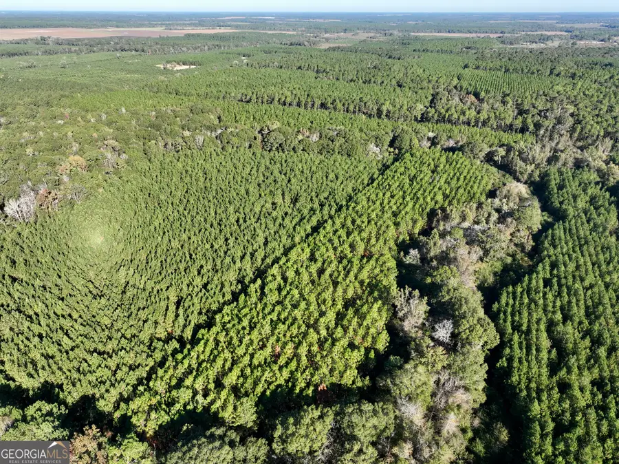 0 Barentine Road, Rochelle, GA 31079 - Image #3