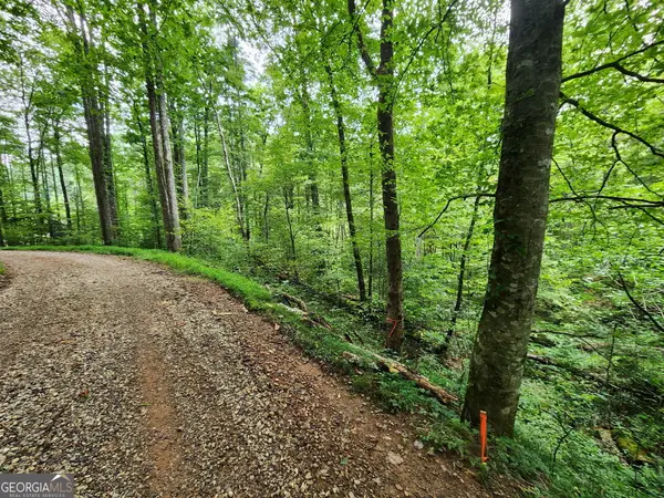 TRACT 2B Poplar Cove Trail, Suches, GA 30572