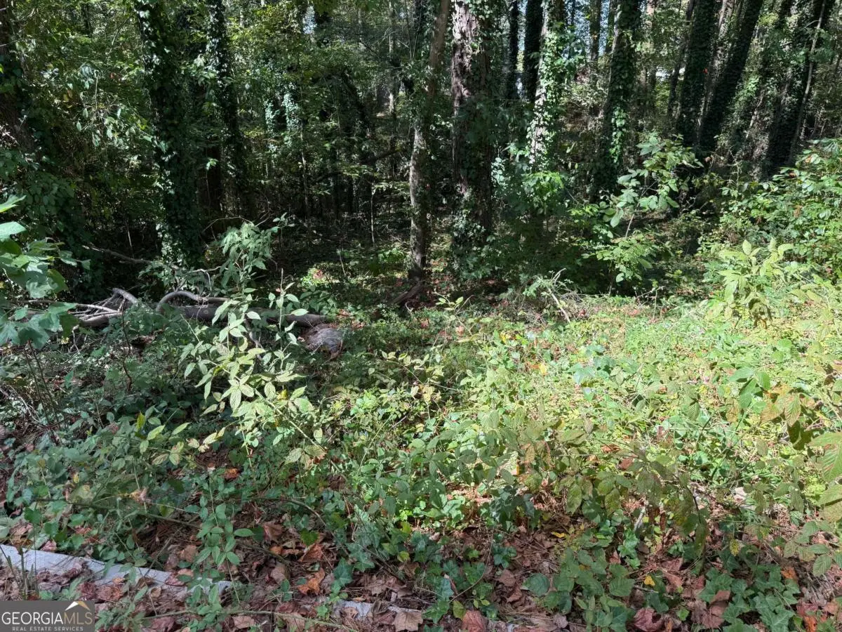 0 Malvin Drive Sw, Austell, GA 30168 - Image #1