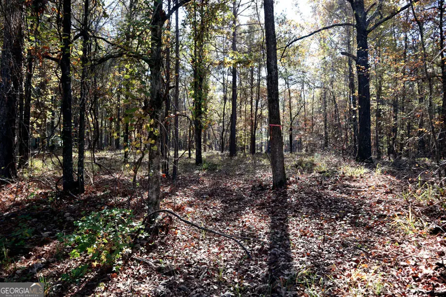 511 Jamesway Dr, Sparta, GA 31087 - Image #1