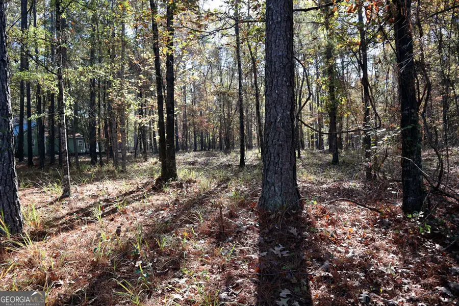 511 Jamesway Dr, Sparta, GA 31087 - Image #2