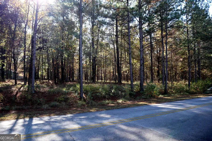 511 Jamesway Dr, Sparta, GA 31087 - Image #3