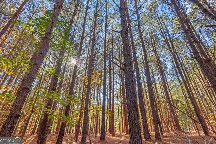 76 Paul Smith Road #6, Covington, GA 30014 - Image #2