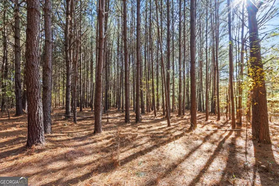 76 Paul Smith Road #6, Covington, GA 30014 - Image #3