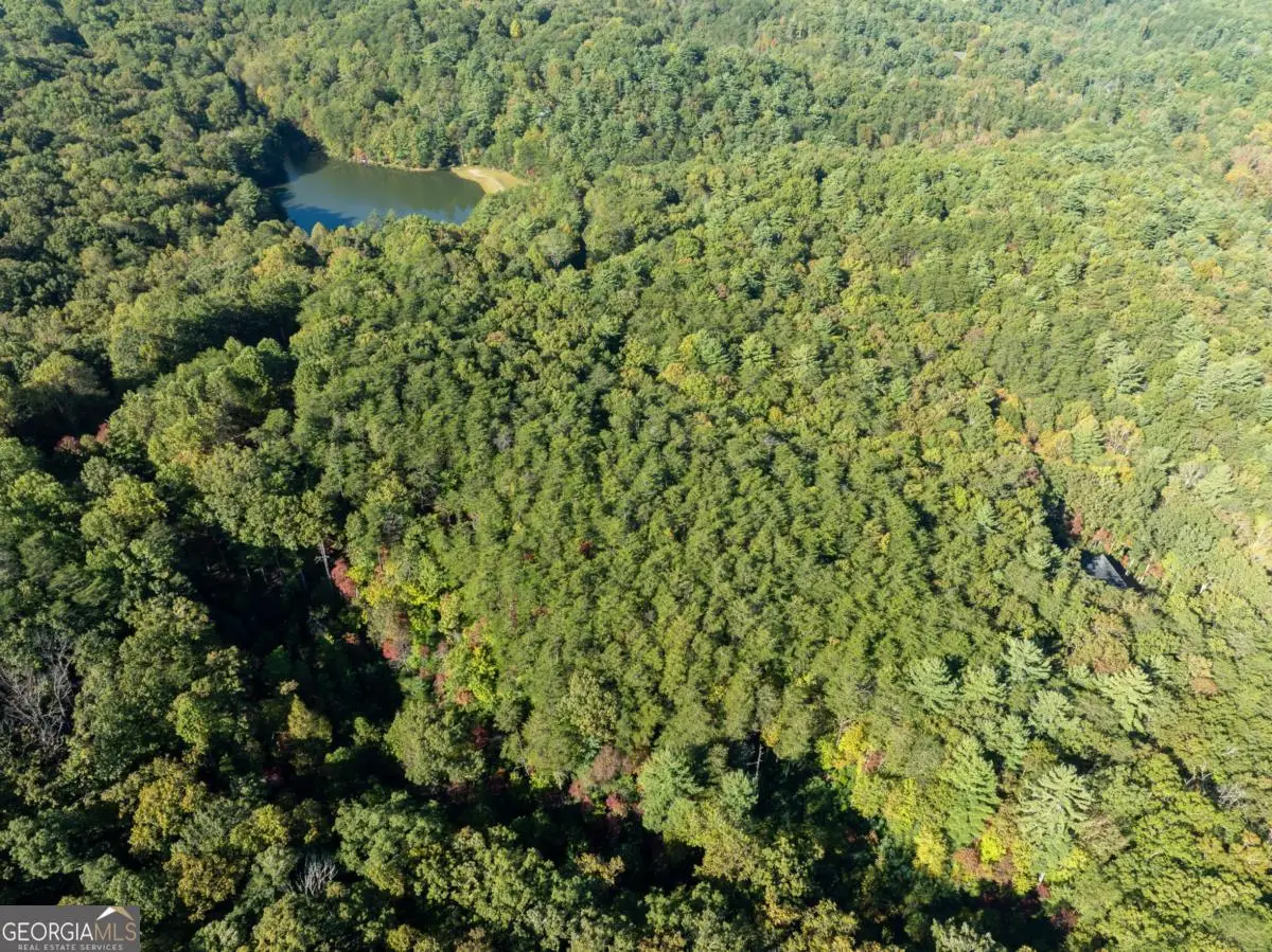 TRACT 1 Turniptown Road, Ellijay, GA 30536 - Image #1