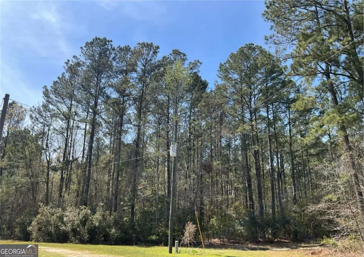 1258 Clyo Kildare Road, Clyo, GA 31303 - Image #1