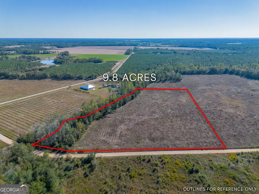TRACT 9 Pine Cone Trail, Mershon, GA 31551 - Image #2
