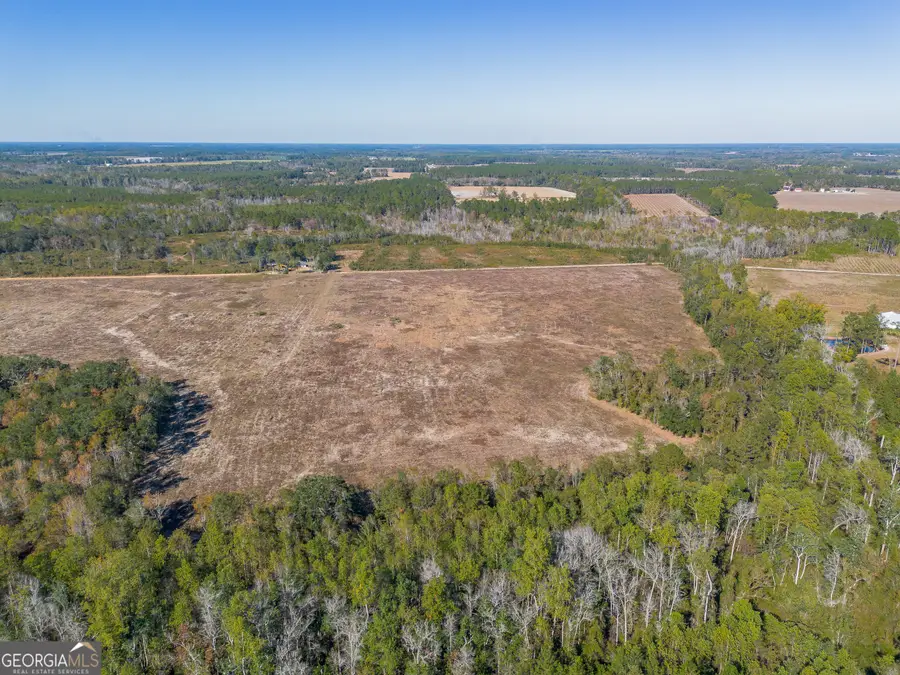TRACT 9 Pine Cone Trail, Mershon, GA 31551 - Image #3