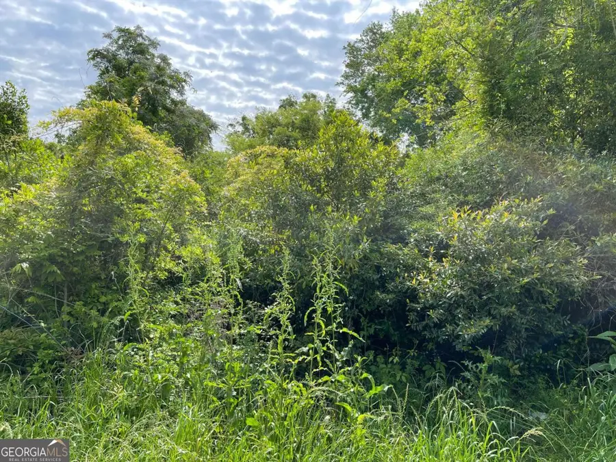 209 Lively Street, Vidalia, GA 30474 - Image #3