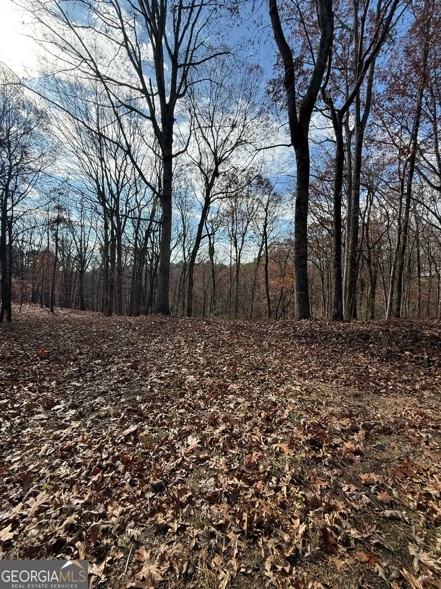 0 Orchard Road, Jasper, GA 30143 - Image #3