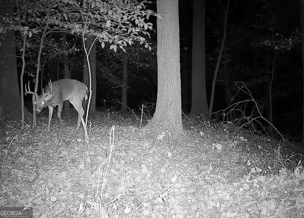 6 Wood Duck Drive, Elberton, GA 30635