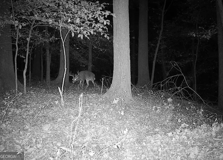 6 Wood Duck Drive, Elberton, GA 30635 - Image #2