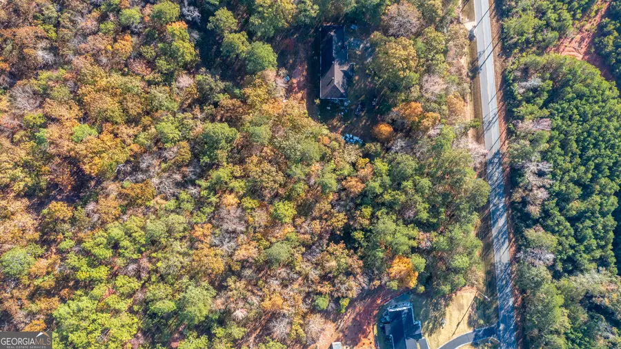 0 Gilbert Road, Manchester, GA 31816 - Image #2