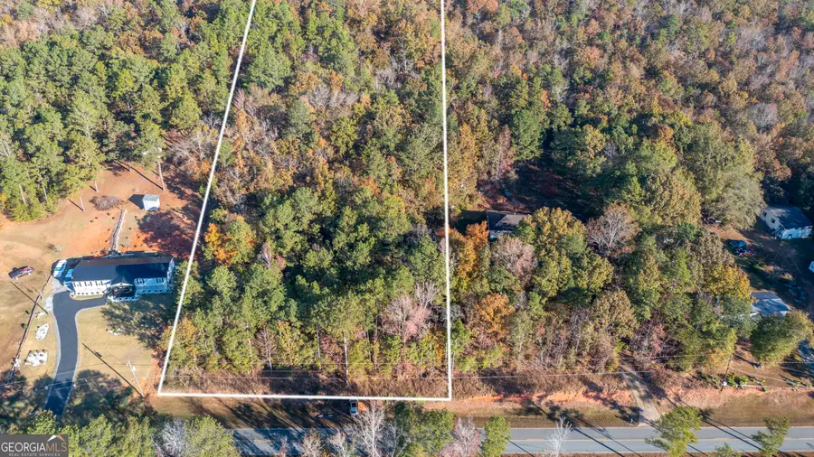 0 Gilbert Road, Manchester, GA 31816 - Image #3