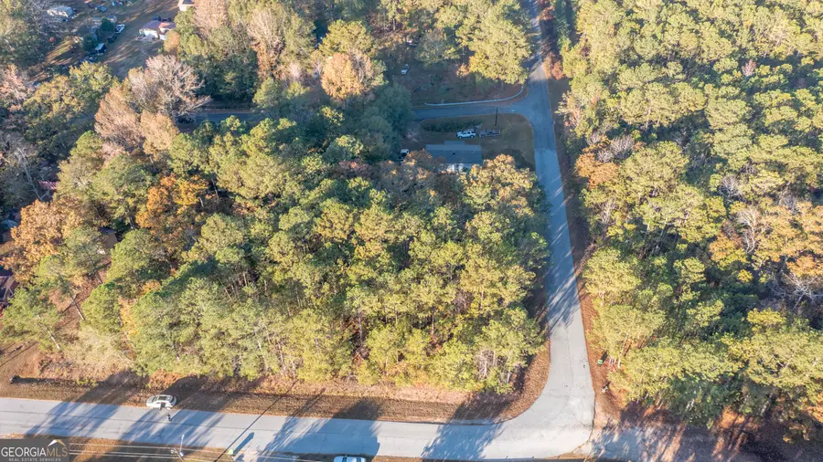 0 Mcdowell Road, Shiloh, GA 31826 - Image #2