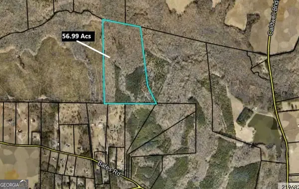 TRACT 2 Bates Rd (56.99acs), Concord, GA 30206