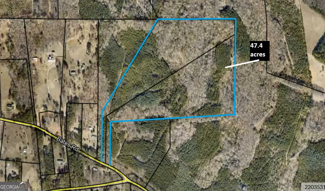 TRACT 6 & 7 Bates Rd (47.4acs), Concord, GA 30206 - Image #1