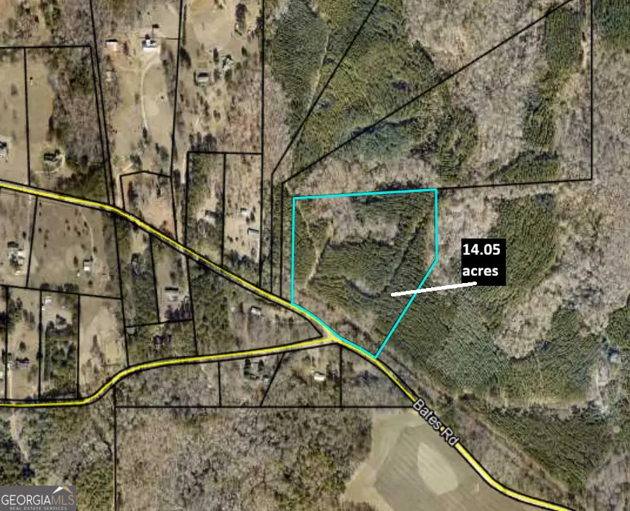 TRACT 1 Bates Rd (14.05acs), Concord, GA 30206 - Image #1