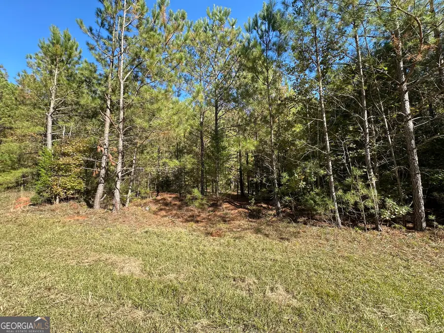 0 Crook Road, Lincolnton, GA 30817 - Image #2