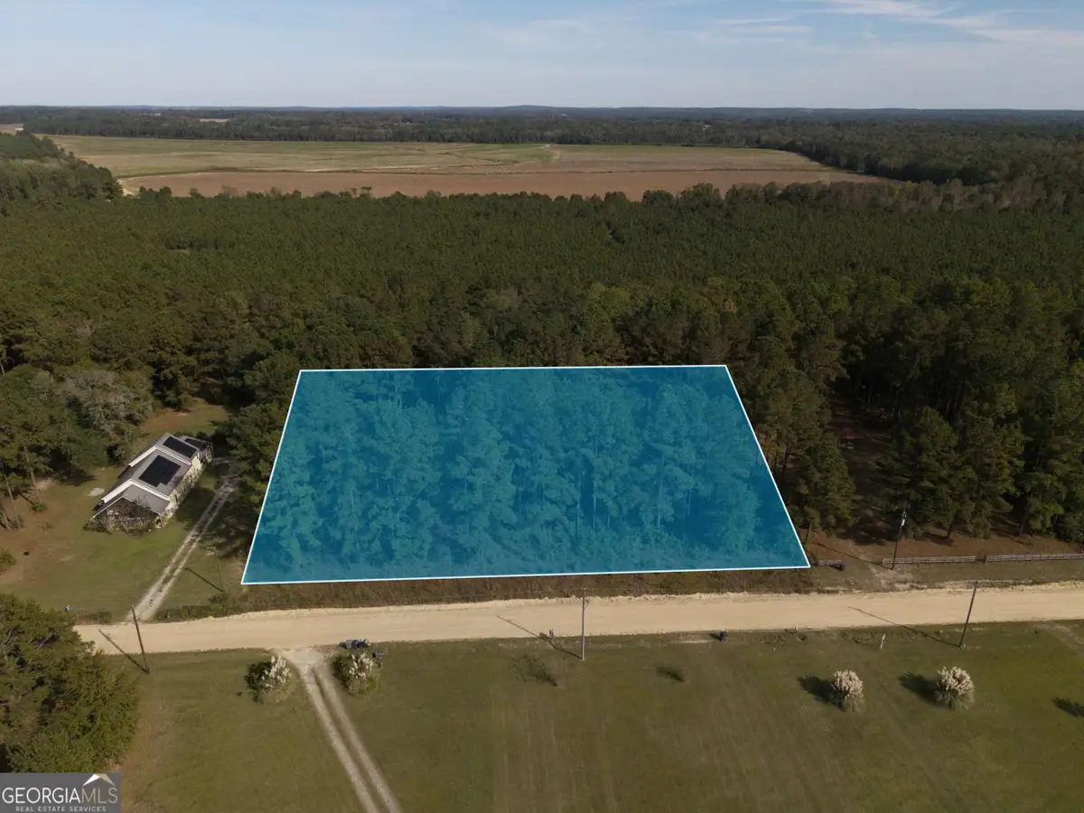 303 Jenny Lynn Lane, Georgetown, GA 39854 - Image #1