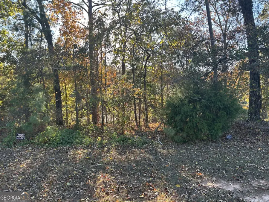 407 Arlington Falls Court, Bonaire, GA 31005 - Image #2