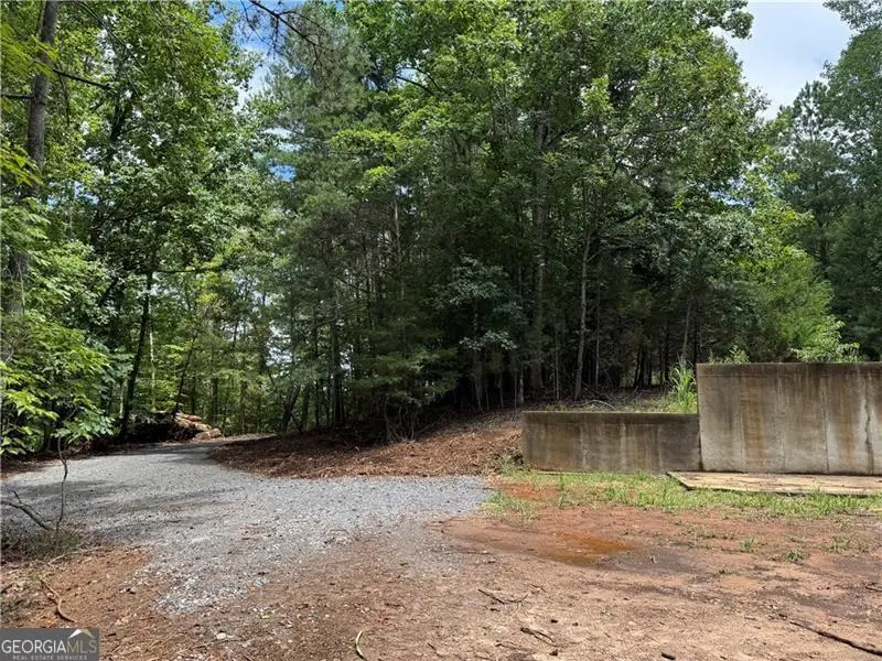 0 Bethel Rd (296 128 & 296 132) Road, Gainesville, GA 30506 - Image #3