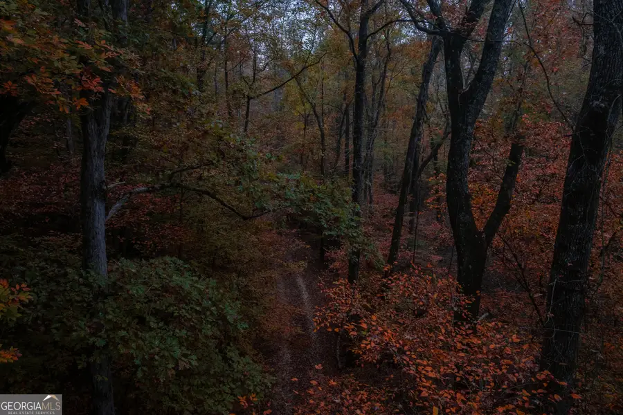 0 Bullock Bridge Road #TRACT 2, Monroe, GA 30656 - Image #3