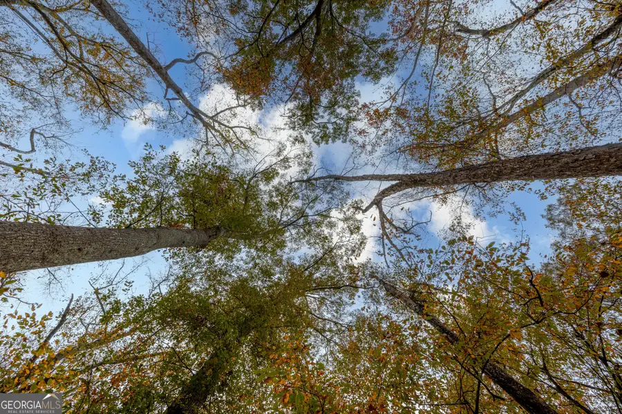 0 Bullock Bridge Road #TRACT 4, Monroe, GA 30656 - Image #2