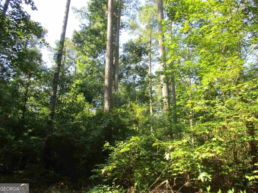 0 Holman Road, Monticello, GA 31064 - Image #2