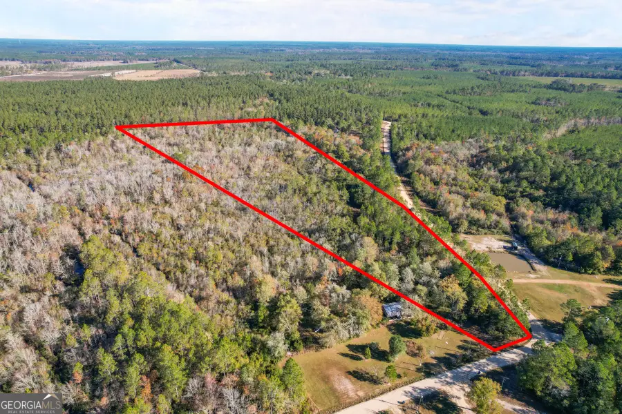 0 Johns Road, Hortense, GA 31543 - Image #3