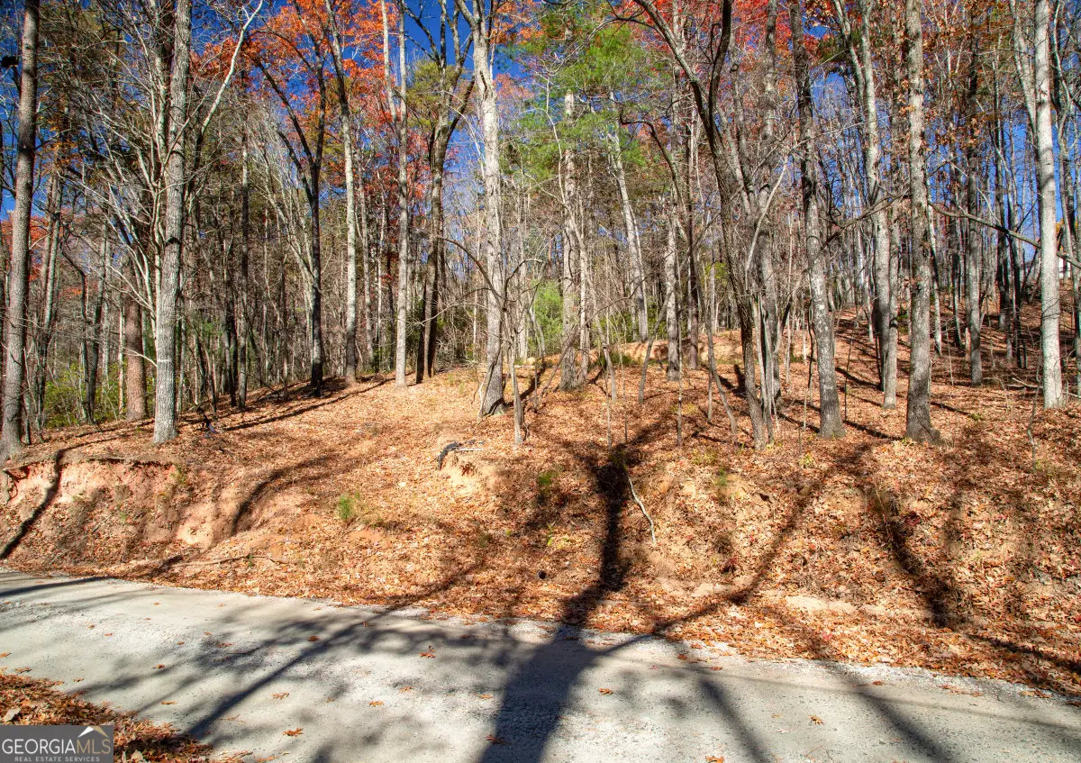 LOT 123 Mountain View Road, Dawsonville, GA 30534 - Image #1