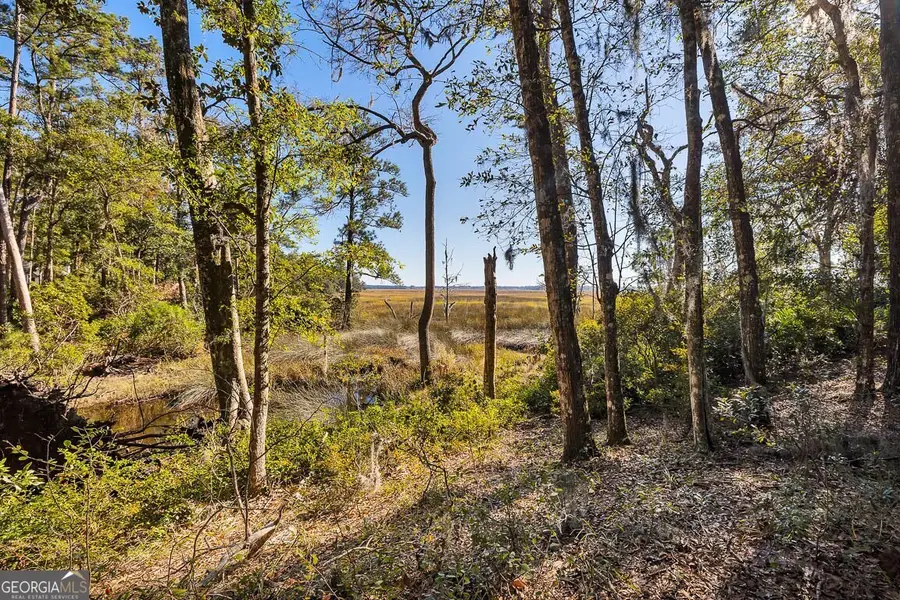 8 W London Hill Road, Woodbine, GA 31569 - #2