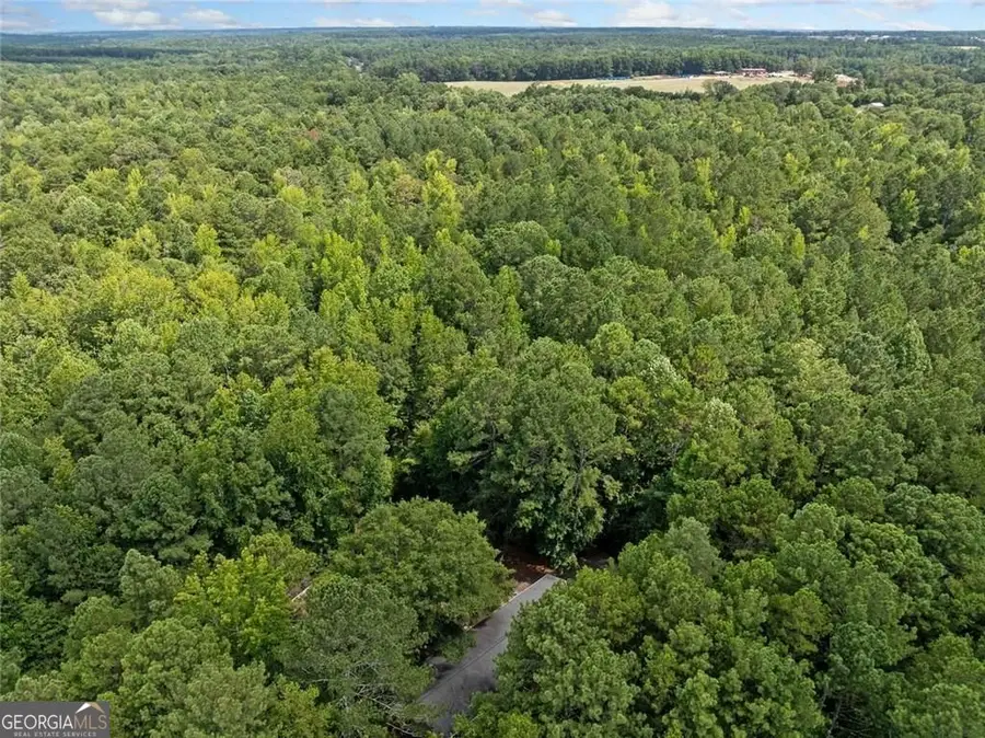 4321 Highway 186, Good Hope, GA 30641 - Image #2