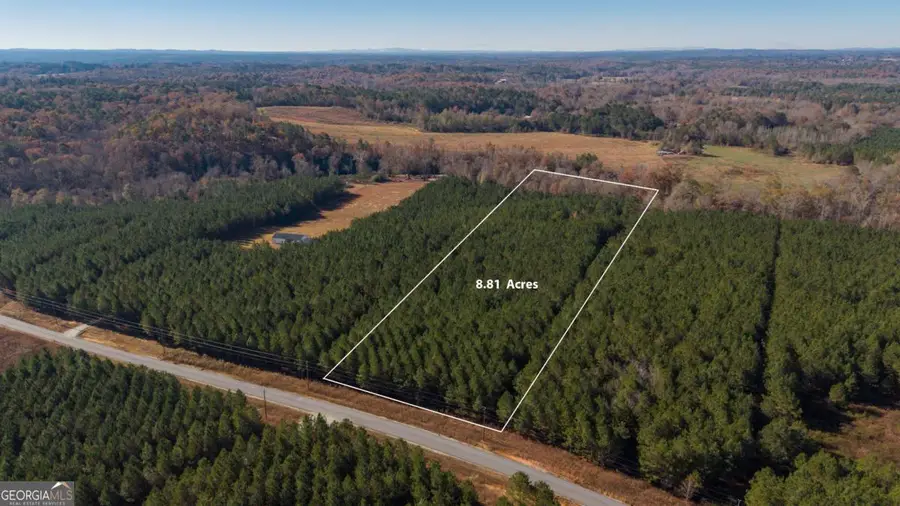 LOT 1 Steadman Lane, Tallapoosa, GA 30176 - Image #2