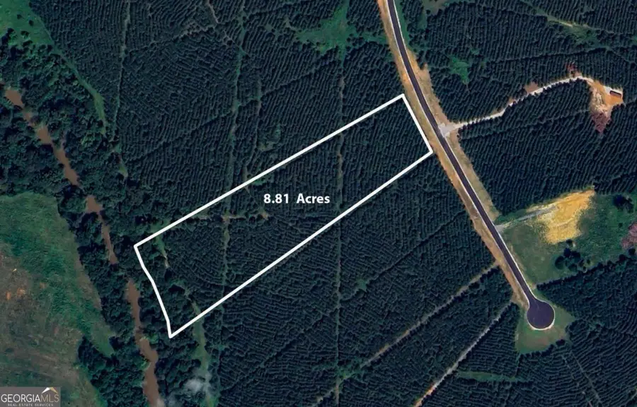 LOT 1 Steadman Lane, Tallapoosa, GA 30176 - Image #3