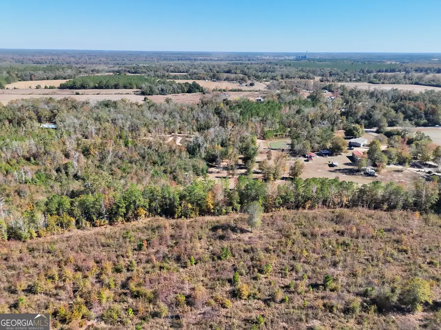 0 Ed Tolar Road #TRACT A, Pansey, AL 36370 - Image #2