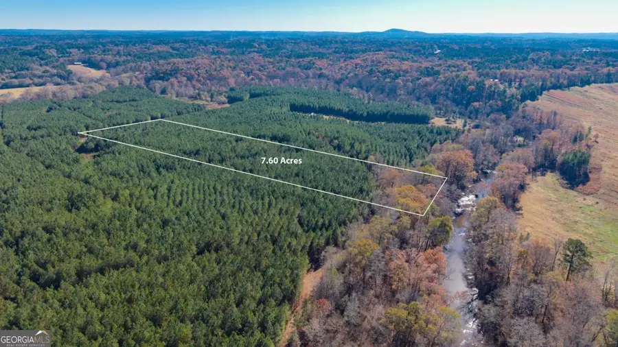 LOT 2 Steadman Lane, Tallapoosa, GA 30176 - Image #3