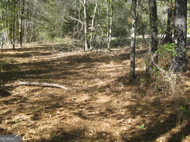 530 Higgins Road, Locust Grove, GA 30248 - Image #2