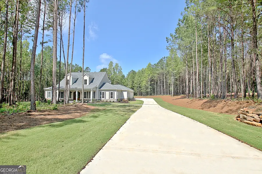 250 Bob Smith Road, Sharpsburg, GA 30277 - Image #3