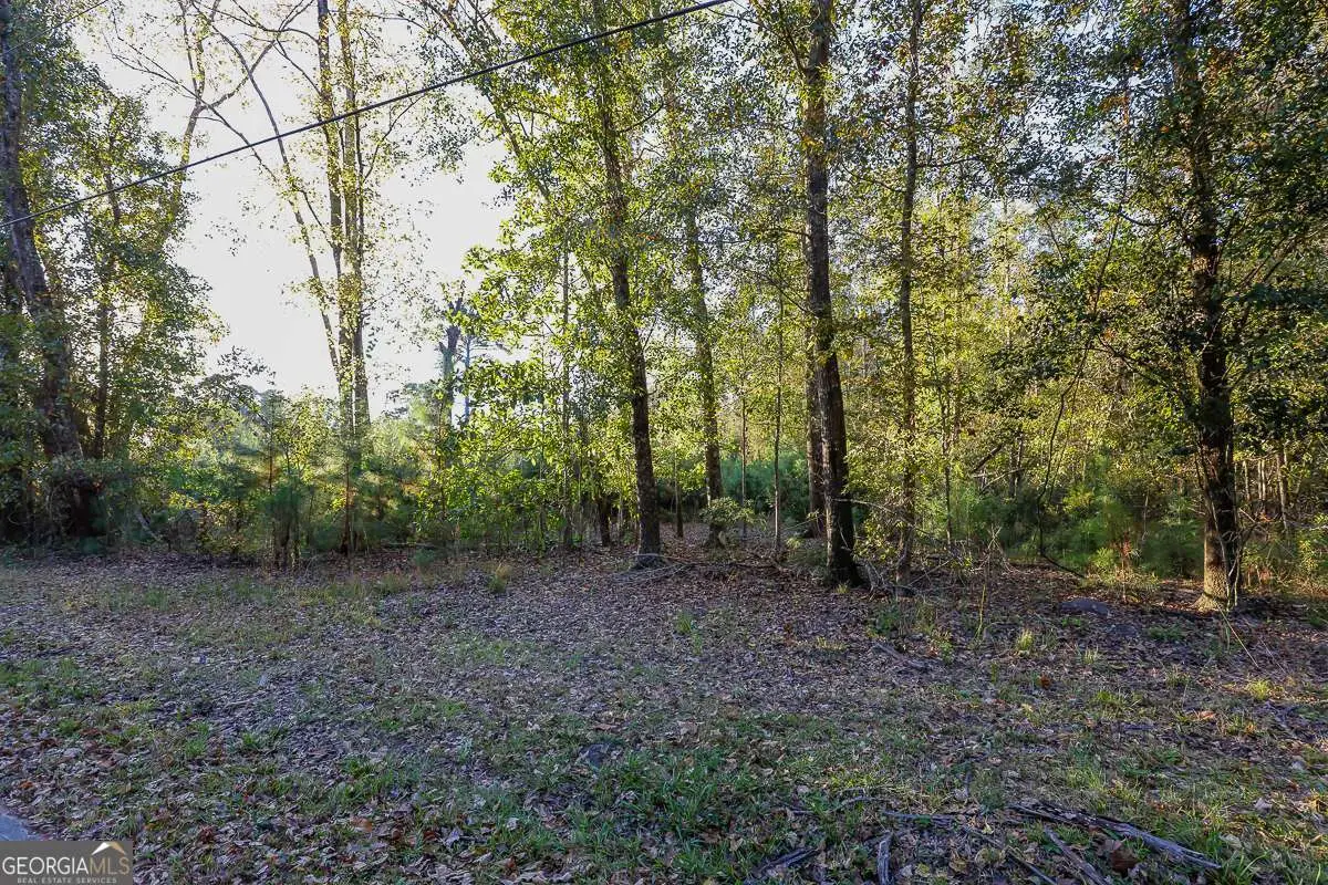 0 Cedar Lane, Guyton, GA 31312 - Image #1