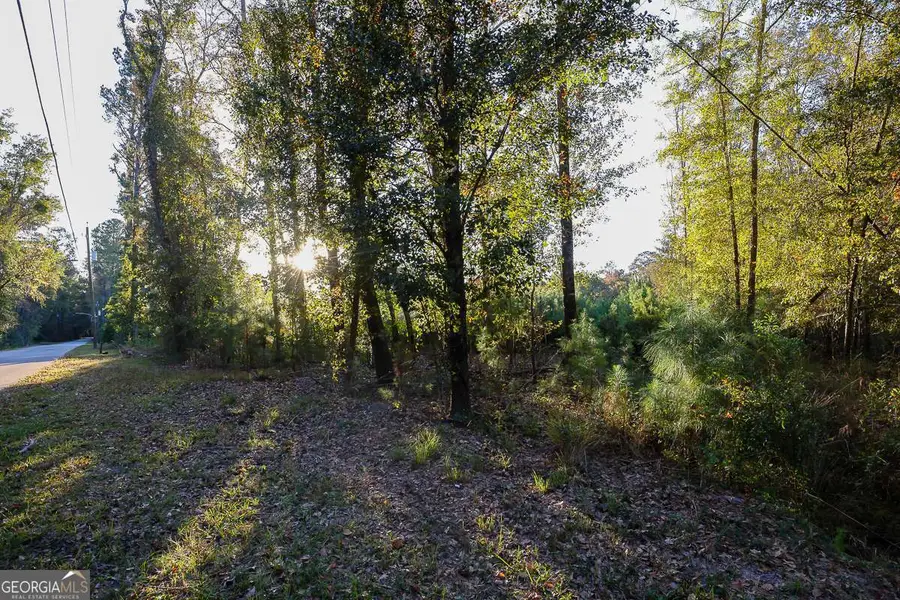 0 Cedar Lane, Guyton, GA 31312 - Image #2