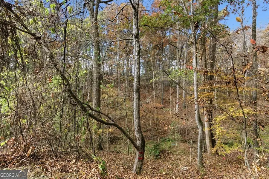 5198 W Holiday Court Se, Acworth, GA 30102 - Image #2