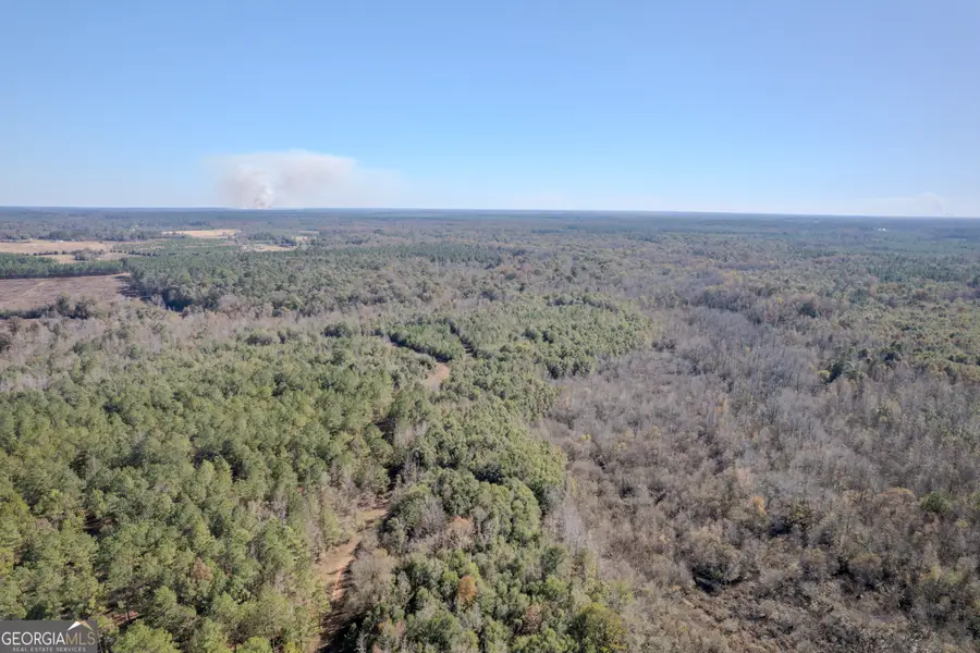 0 Hurst Road, Tennille, GA 31089 - Image #2