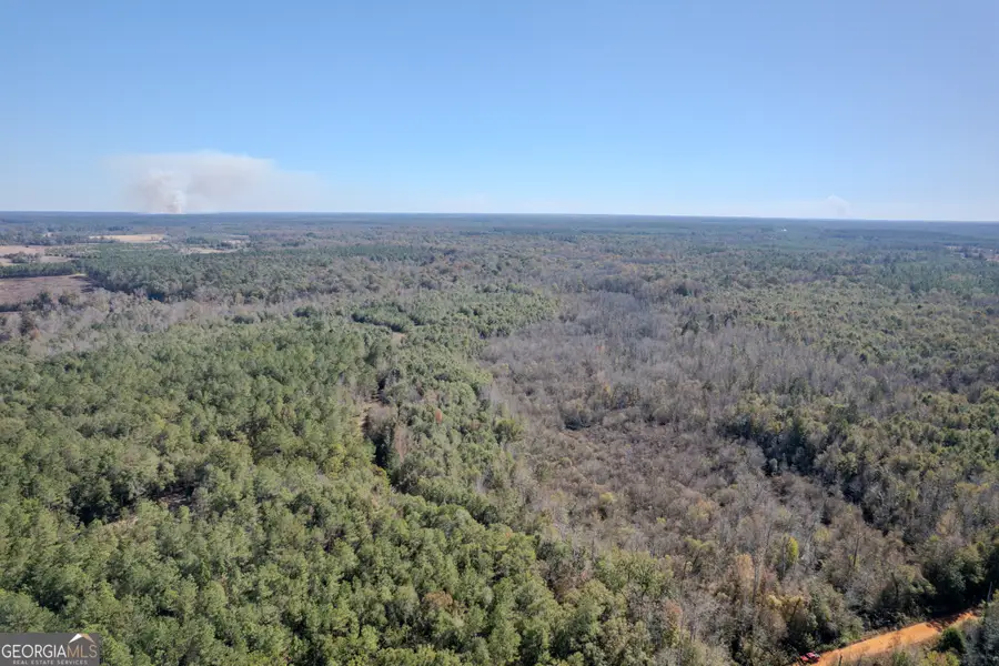 0 Hurst Road, Tennille, GA 31089 - Image #3