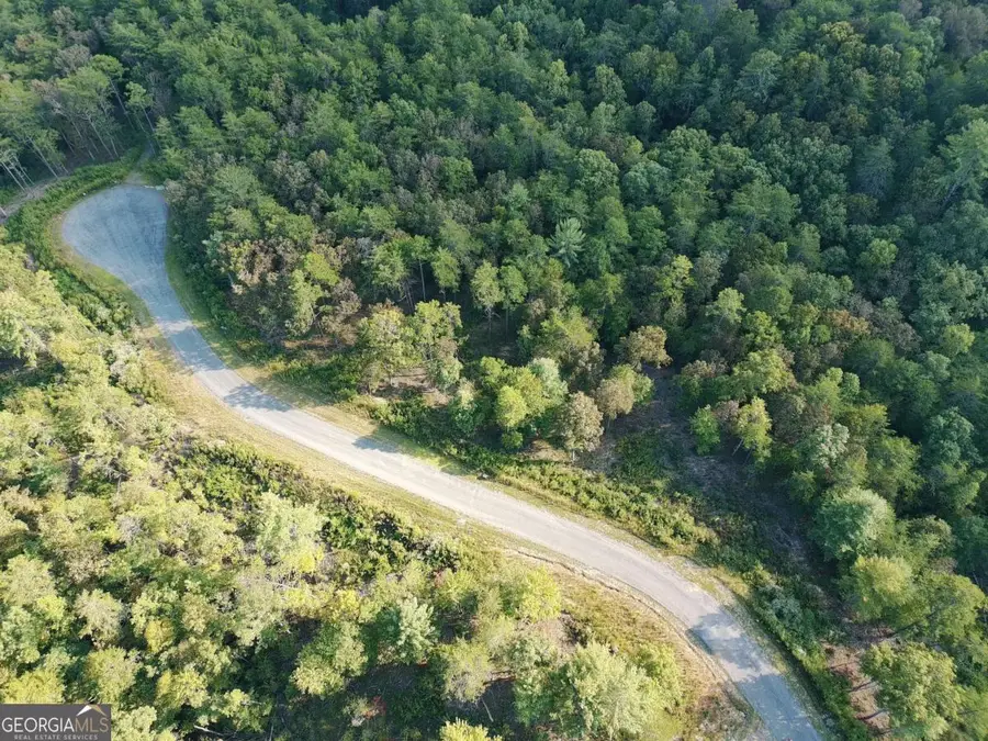 LOT 37 Ridgeline Ln, Mineral Bluff, GA 30559 - Image #2