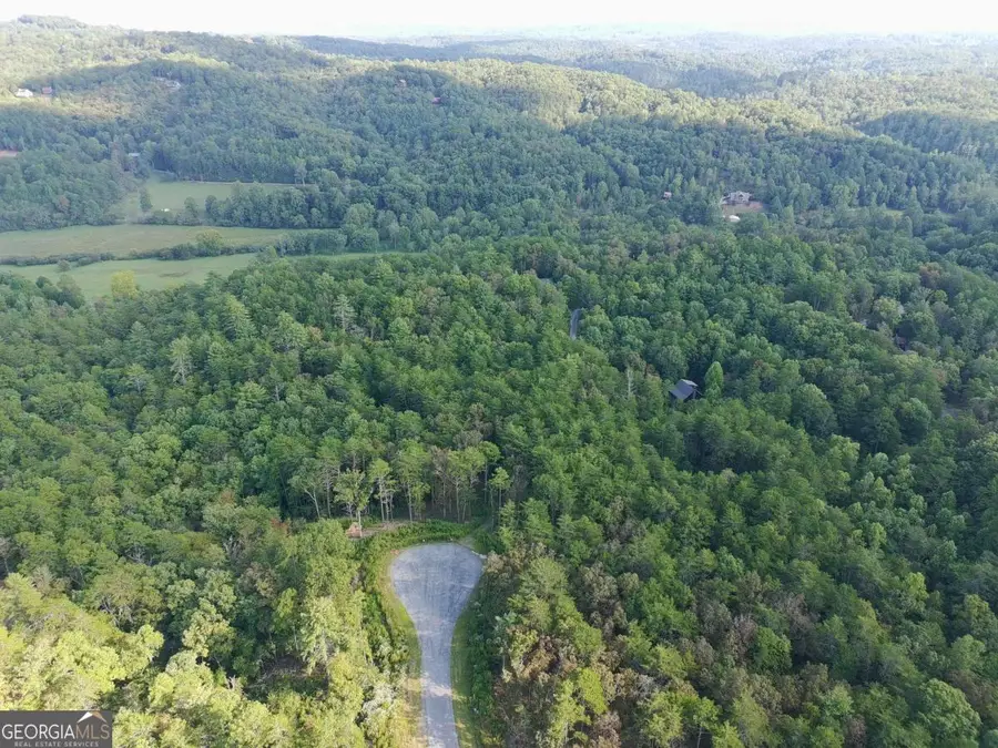 LOT 37 Ridgeline Ln, Mineral Bluff, GA 30559 - Image #3