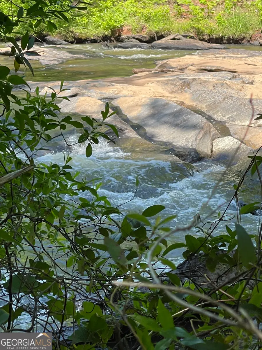 106 Forest Place, Forsyth, GA 31029 - Image #2