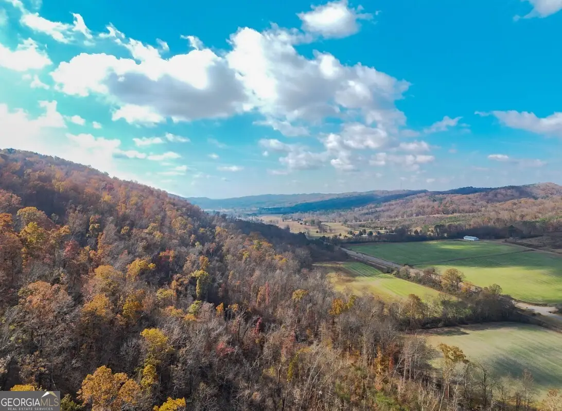 0 Us Highway 11 N, Attalla, AL 35954 - Image #1