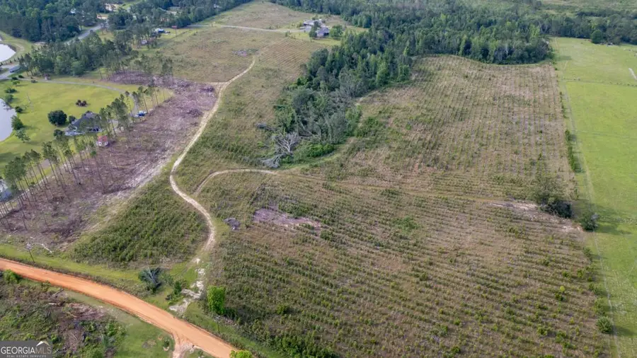 0 Smyrna Road, Uvalda, GA 30473 - Image #2