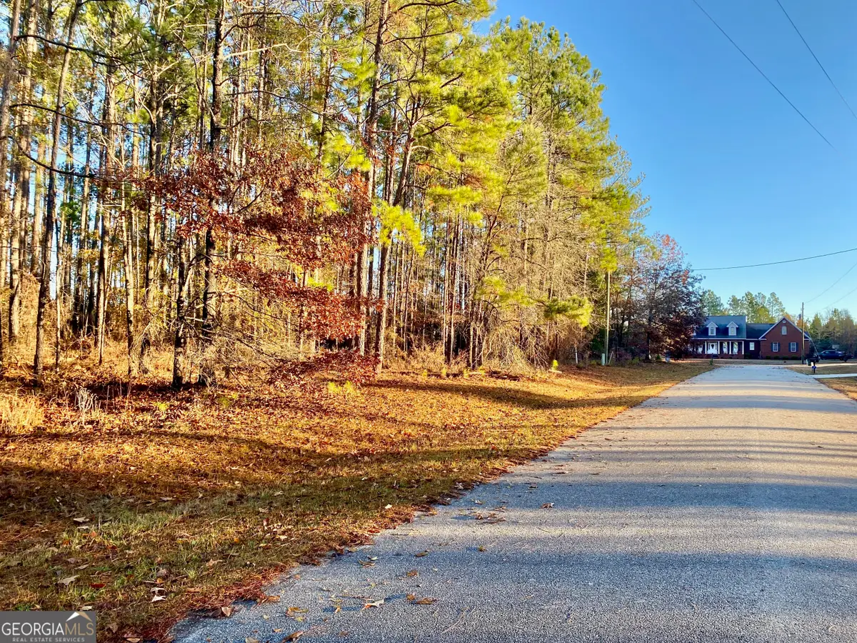 0 Oak Ridge Drive, Butler, GA 31006 - Image #1